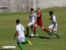 ''Sul pari ci siamo sbilanciati: la squadra è giovane, paghiamo un po' di inesperienza''  FOTO