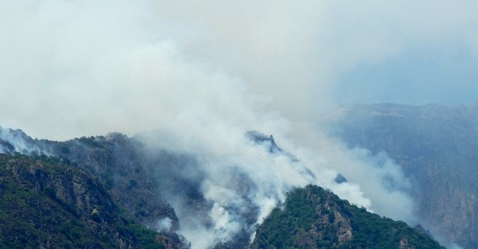 Val Grande, gli interventi per salvare una farfalla rara frenano le fiamme Val Grande, gli interventi per salvare una farfalla rara frenano le fiamme