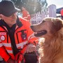 Protezione civile, accordo tra Anpas Piemonte e unità medico veterinaria volontaria