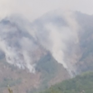 Incendio tra Beura Cardezza e Vogogna, Dotta: "La situazione è decisamente più rassicurante"