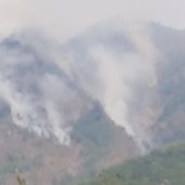 Incendio tra Beura Cardezza e Vogogna, Dotta: "La situazione è decisamente più rassicurante" Incendio tra Beura Cardezza e Vogogna, Dotta: "La situazione è decisamente più rassicurante"