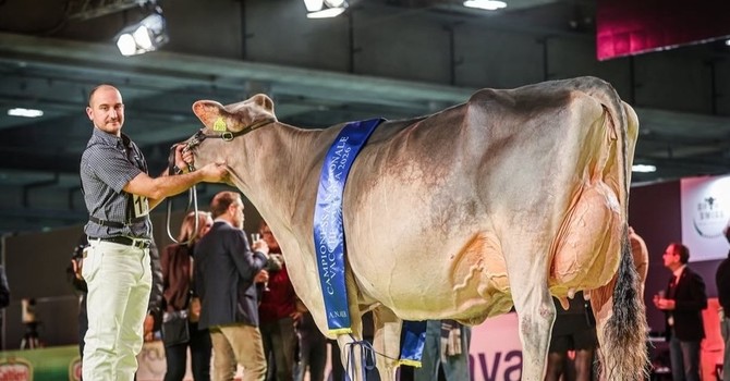 Foto Instragram @bruna_italia