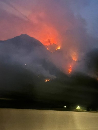Le fiamme si avvicinano alle case a Pallanzeno: Canadair ed elicottero in azione. Migliora la situazione a Cimamulera Le fiamme si avvicinano alle case a Pallanzeno: Canadair ed elicottero in azione. Migliora la situazione a Cimamulera