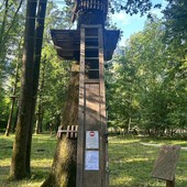 Premosello, polemica sul parco avventura finanziato dal PNRR: “Mai aperto ed è già chiuso” Premosello, polemica sul parco avventura finanziato dal PNRR: “Mai aperto ed è già chiuso”