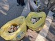 Re, successo per la giornata ecologica: raccolti numerosi rifiuti