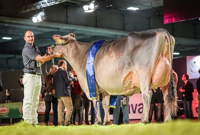 Foto Instragram @bruna_italia