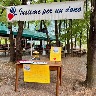 Pediatria H24 al San Biagio, raccolte 800 firme cartacee alla festa dell'Avis