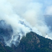 Incendi nel Vco, due Canadair in azione. Candiani: "Chiesti rinforzi, situazione molto impegnativa"