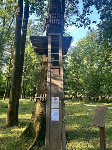 Premosello, polemica sul parco avventura finanziato dal PNRR: “Mai aperto ed è già chiuso” Premosello, polemica sul parco avventura finanziato dal PNRR: “Mai aperto ed è già chiuso”