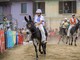 Premosello, Martina Bonacina fa il bis al Palio degli Asini Premosello, Martina Bonacina fa il bis al Palio degli Asini