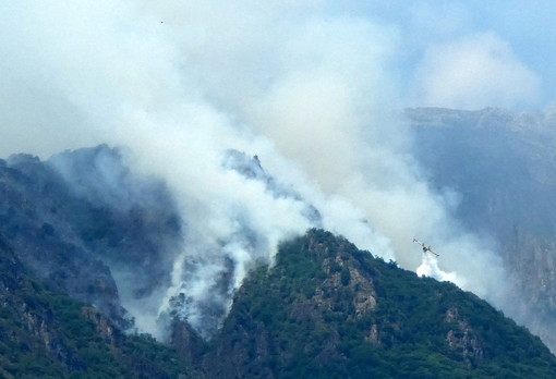 Incendi nel Vco, due Canadair in azione. Candiani: "Chiesti rinforzi, situazione molto impegnativa" Incendi nel Vco, due Canadair in azione. Candiani: "Chiesti rinforzi, situazione molto impegnativa"
