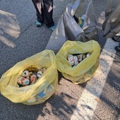 Re, successo per la giornata ecologica: raccolti numerosi rifiuti