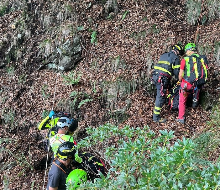 "Nessun fungo vale il prezzo di una vita umana. Aiutateci ad aiutarvi": l’appello del Soccorso Alpino "Nessun fungo vale il prezzo di una vita umana. Aiutateci ad aiutarvi": l’appello del Soccorso Alpino