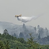 Borgomezzavalle, alta l’attenzione sugli incendi: il sindaco ringrazia Vigili del Fuoco e Aib Borgomezzavalle, alta l’attenzione sugli incendi: il sindaco ringrazia Vigili del Fuoco e Aib
