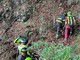"Nessun fungo vale il prezzo di una vita umana. Aiutateci ad aiutarvi": l’appello del Soccorso Alpino "Nessun fungo vale il prezzo di una vita umana. Aiutateci ad aiutarvi": l’appello del Soccorso Alpino