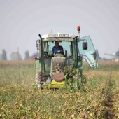 Svolta storica per l’agricoltura piemontese: approvato emendamento sugli usi civici a favore degli imprenditori agricoli