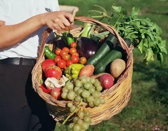 Mangiare sano senza rinunce: come costruire una dispensa bio (anche lontano dai grandi centri) Mangiare sano senza rinunce: come costruire una dispensa bio (anche lontano dai grandi centri)