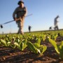 "Gli agricoltori non sono inutili, garantiscono cibo e presidiano il territorio" "Gli agricoltori non sono inutili, garantiscono cibo e presidiano il territorio"