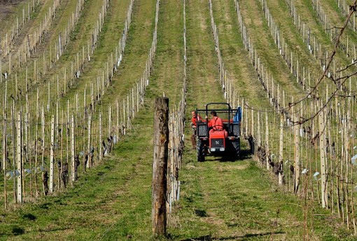 Coldiretti Piemonte: &quot;Basta puntare il dito sull'agricoltura come settore più inquinante&quot;