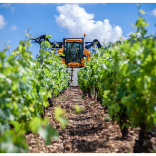 Coldiretti Piemonte, migliaia di agricoltori in piazza per difendere la salute degli italiani