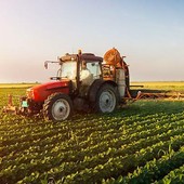 Anticipi Pac da luglio, Coldiretti: "Una boccata d'ossigeno per le imprese agricole"