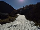 Ufficialmente al via la stagione dello sci di fondo a Riale FOTO Ufficialmente al via la stagione dello sci di fondo a Riale FOTO