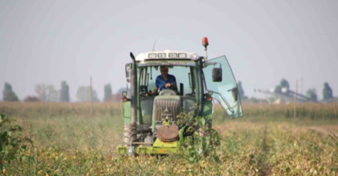 Aziende agricole, un investimento da 10 milioni per l'innovazione tecnologica e strutturale
