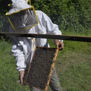 Pranzo dell'apicoltore a Villadossola