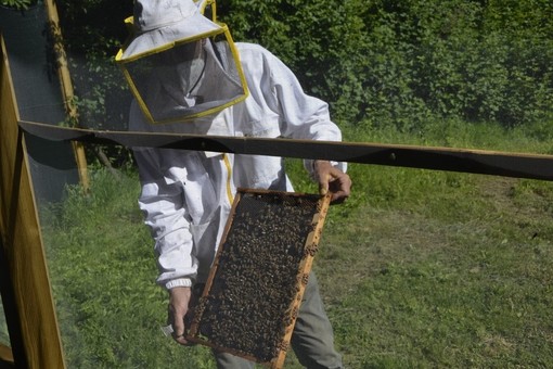 Pranzo dell'apicoltore a Villadossola