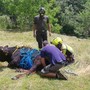 Calasca Castiglione, intervento dei vigili del fuoco per il recupero di un animale ferito