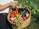 Mangiare sano senza rinunce: come costruire una dispensa bio (anche lontano dai grandi centri) Mangiare sano senza rinunce: come costruire una dispensa bio (anche lontano dai grandi centri)