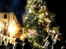Accensione dell'Albero di Natale al Santuario di Re