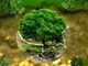 Oggi è l'Earth overshoot day: risorse esaurite, iniziamo a consumare quelle del 2024