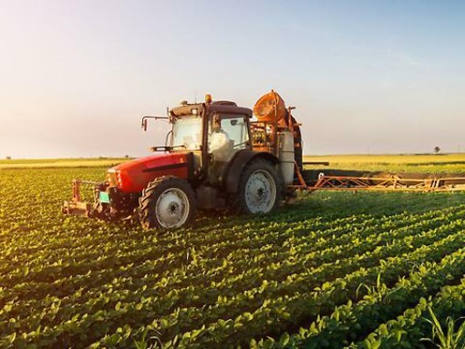 Anticipi Pac da luglio, Coldiretti: "Una boccata d'ossigeno per le imprese agricole"