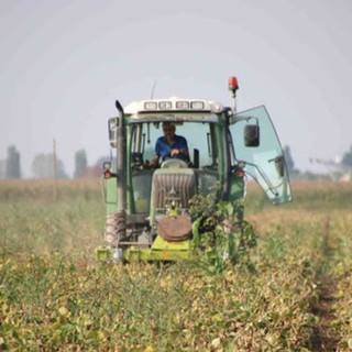 Carenza idrica, Protopapa: "Massimo sostegno al progetto della regione"