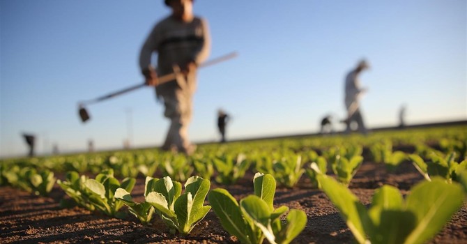 "Gli agricoltori non sono inutili, garantiscono cibo e presidiano il territorio" "Gli agricoltori non sono inutili, garantiscono cibo e presidiano il territorio"