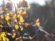 Ciao ciao estate, diamo il benvenuto all'autunno!
