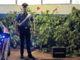 Coltivava cannabis nell'orto, denunciato dai Carabinieri