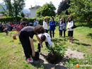Un albero per ricordare Pierantonio Ragozza FOTO
