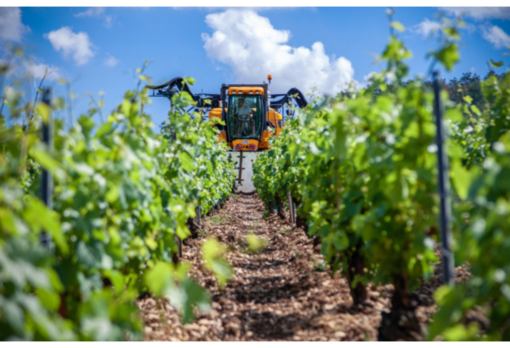 Coldiretti Piemonte: sbloccati 55 milioni per la gestione del rischio nelle imprese agricole