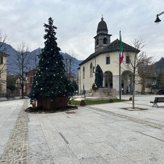 Domodossola accende il Natale: il grande albero si sposta in largo Madonna della Neve
