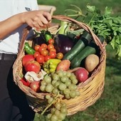 Mangiare sano senza rinunce: come costruire una dispensa bio (anche lontano dai grandi centri)