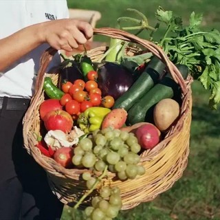 Mangiare sano senza rinunce: come costruire una dispensa bio (anche lontano dai grandi centri)