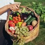 Mangiare sano senza rinunce: come costruire una dispensa bio (anche lontano dai grandi centri)