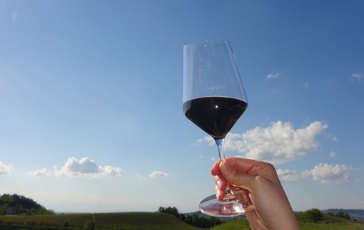 Vino, Bongioanni: "Stanziato 1,5 milioni di per risolvere il problema delle giacenze nelle cantine" Vino, Bongioanni: "Stanziato 1,5 milioni di per risolvere il problema delle giacenze nelle cantine"