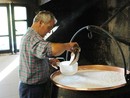 Iniziata la tradizionale marchiatura del Bettelmatt