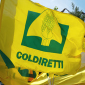 Carne e prodotti animali dal Brasile, dal 3 settembre scatta lo stop europeo Carne e prodotti animali dal Brasile, dal 3 settembre scatta lo stop europeo