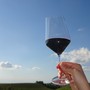 Vino, Bongioanni: "Stanziato 1,5 milioni di per risolvere il problema delle giacenze nelle cantine" Vino, Bongioanni: "Stanziato 1,5 milioni di per risolvere il problema delle giacenze nelle cantine"