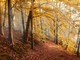 Previsioni per l’autunno: cosa ci aspetta? Le valutazioni di Arpa Piemonte. Previsioni per l’autunno: cosa ci aspetta? Le valutazioni di Arpa Piemonte.