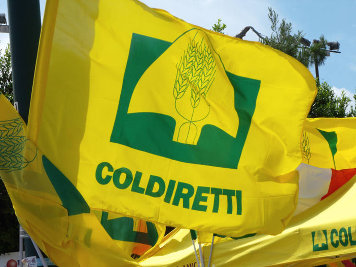 Carne e prodotti animali dal Brasile, dal 3 settembre scatta lo stop europeo
